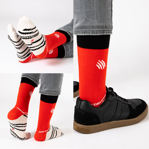 Biggdesign Dogs Pawformance Herrensocken Set