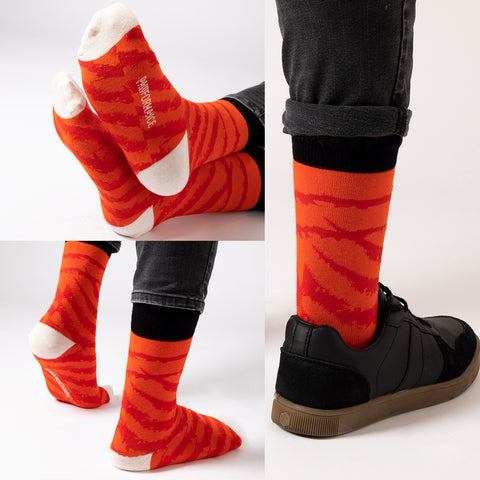 Biggdesign Dogs Herrensocken Set